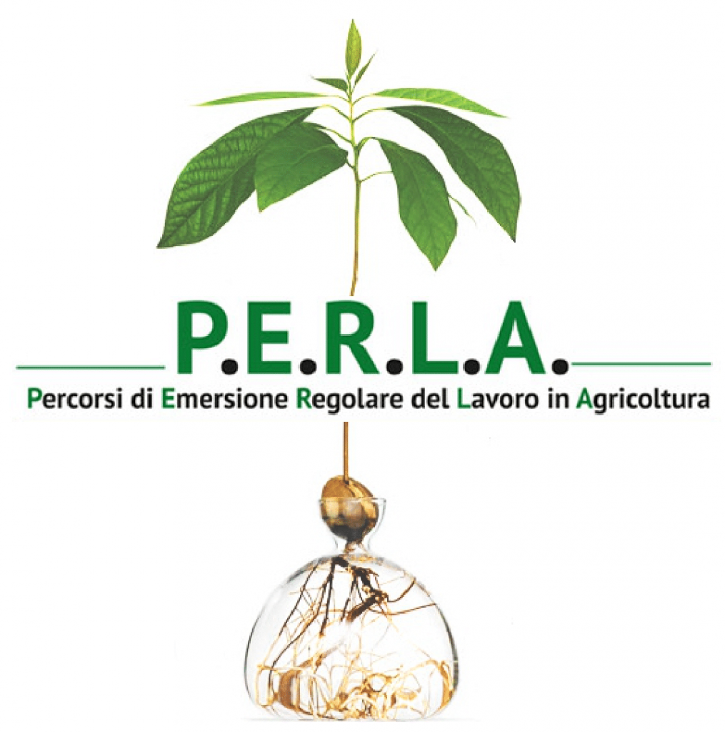 Progetto_PERLA