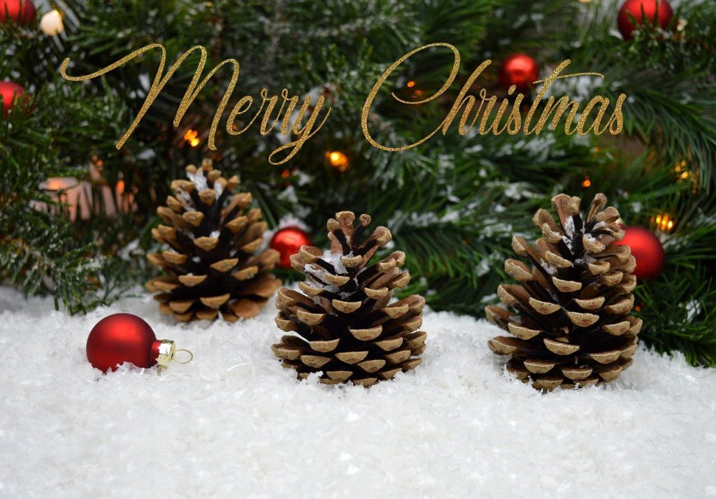 merry christmas, pine cones, decoration-6814797.jpg